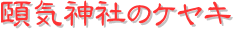 y[W^CgiC_Ђ̃PLj