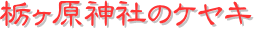 y[W^Cgiȃ_Ђ̃PLj