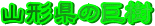 y[W^CgiR`̋j