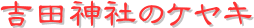 y[W^Cgigc_Ђ̃PLj