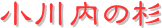 y[W^CgF̐
