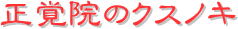 y[W^CgFo@̃NXmL