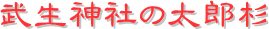 y[W^CgF_Ђ̑Y