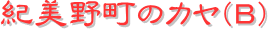 y[W^CgFI쒬̃Jiaj