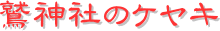 y[W^CgFh_Ђ̃PL