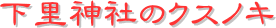y[W^CgF_Ђ̃NXmL
