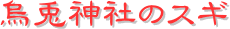 y[W^CgFGe_Ђ̃XM