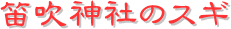 y[W^CgFJ_Ђ̃XM