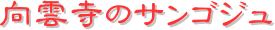 y[W^CgF_̃TSW