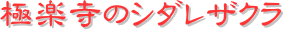 y[W^CgFɊỹV_UN