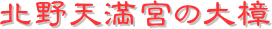 y[W^CgFkV{̑叾