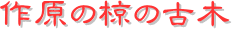 y[W^CgF쌴̖̌Ö