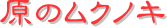 y[W^CgF̃NmL