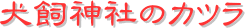 y[W^CgF_Ђ̃Jc
