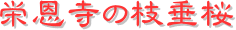 y[W^CgFh̎}