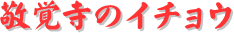 y[W^CgFhõC`E