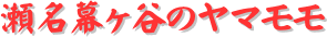 y[W^CgFJ̃}