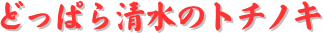 y[W^CgFǂς琴̃g`mL