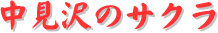 y[W^CgF̃TN