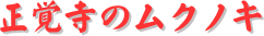y[W^CgFõNmL