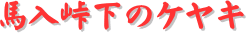 y[W^CgFñPL