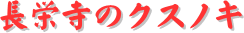 y[W^CgFh̃NXmL