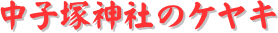 y[W^CgFqː_Ђ̃PL