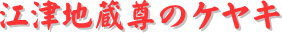 y[W^CgF]ÒñPL