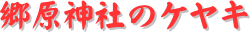 y[W^CgF_Ђ̃PL