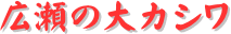 y[W^CgFL̑JV