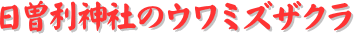 y[W^CgF]_Ђ̃E~YUN