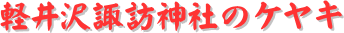 y[W^CgFyzK_Ђ̃PL