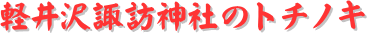 y[W^CgFyzK_Ђ̃g`mL
