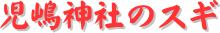 y[W^CgF_Ђ̃XM