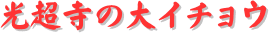 y[W^CgF̑C`E