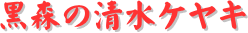 y[W^CgFX̐PL