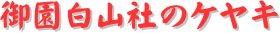 y[W^CgF䉀RЂ̃PL