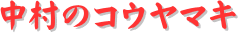 y[W^CgF̃RE}L