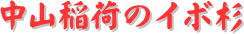 y[W^CgFRׂ̃C{