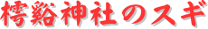 y[W^CgF殐_Ђ̃XM