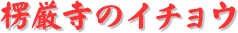 y[W^CgF̃C`E