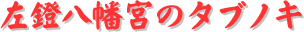 y[W^CgF{̃^umL
