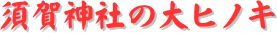 y[W^CgF{_Ђ̑qmL