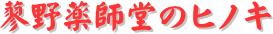 y[W^CgFt̃qmL