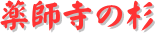 y[W^CgFt̐