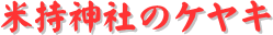 y[W^CgFĎ_Ђ̃PL