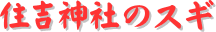 ページタイトル：住吉神社のスギ