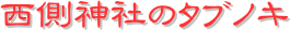 y[W^CgF_Ђ̃^umL