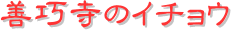 y[W^CgFPĨC`E