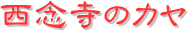 y[W^CgFÕJ